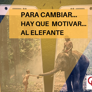 motivar al elefante qmamericas qmanagement