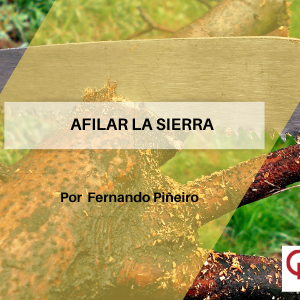 Afilar la Sierra Qamericas Qmanagement