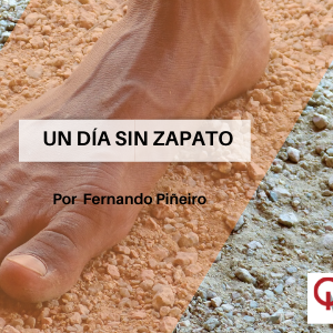 Un Día Sin Zapato Qmamericas Qmanagement