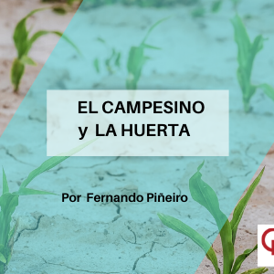 El Campesino y La Huerta Qmamericas Qmanagement