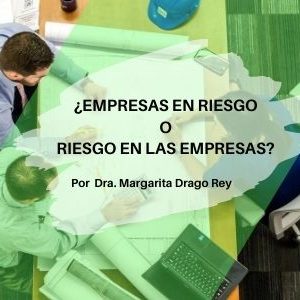 Gestion de Riesgos Qmamericas Qmanagement