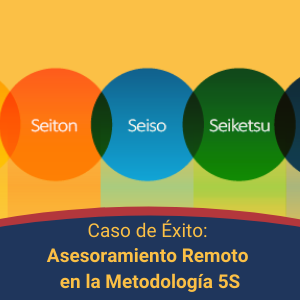 Asesoramiento Remoto en la Metologia 5S Qmamericas Qmanagement