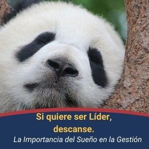 Si Quiere ser Lider, descanse Qmamericas Qmanagement