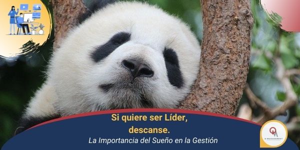 Si Quiere ser Lider, descanse Qmamericas Qmanagement