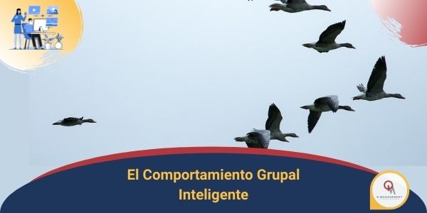 El Comportamiento grupal inteligente Qmamericas Qmanagement