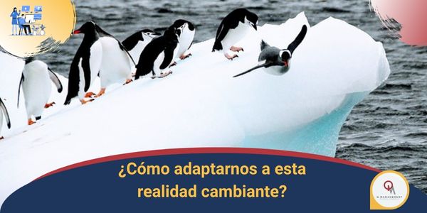 Como adaptarnos a esta reaildad cambiante Qmamericas Qmanagement
