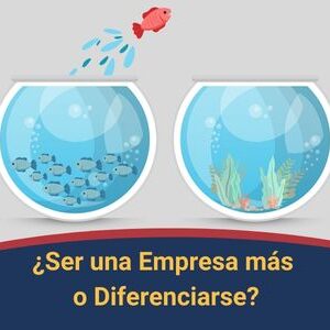 Ser una empresa mas o diferenciarse Qmamericas Qmanagement