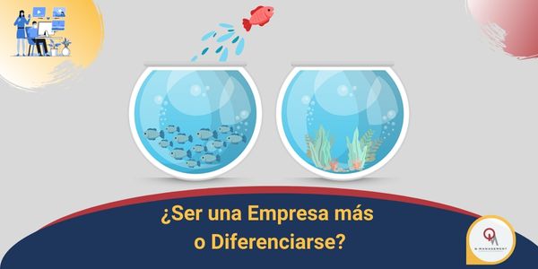 Ser una empresa mas o diferenciarse Qmamericas Qmanagement
