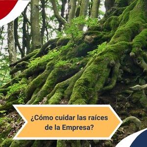 como cuidar las raices de la empresa Qmamericas Qmanagement
