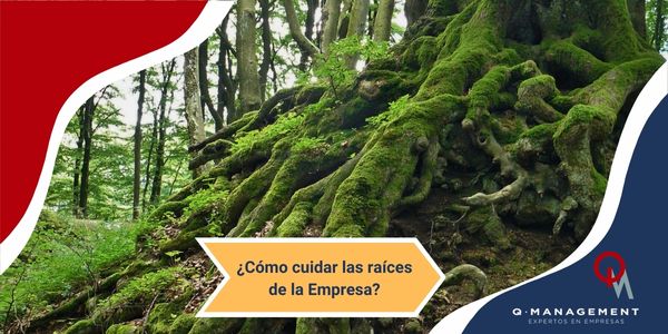como cuidar las raices de la empresa Qmamericas Qmanagement