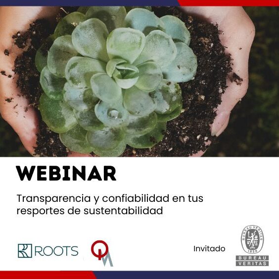 Fotos de blog OK QM (29)