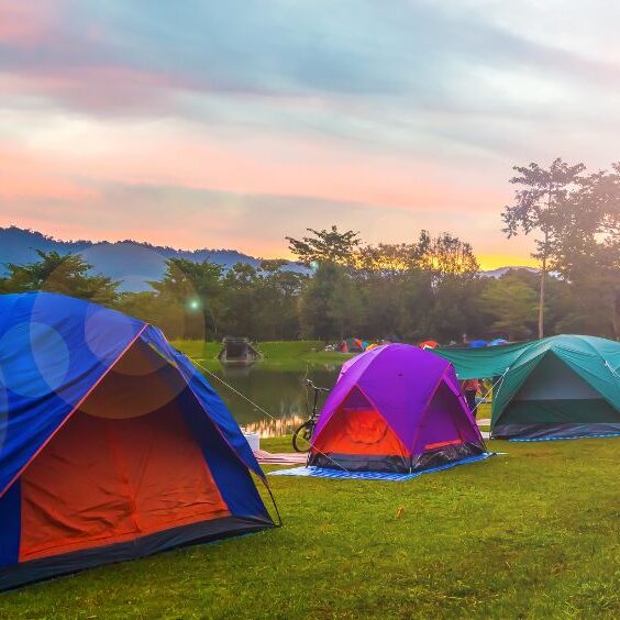 Fotos de blog OK QM (31)