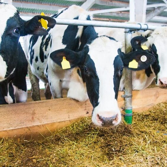 Fotos de blog OK QM (34)